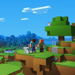 Ruling in the World of Minecraft Gaming