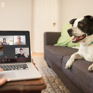 Facts And Advantages You Need To Know While Using Eat-And-Run Verification
