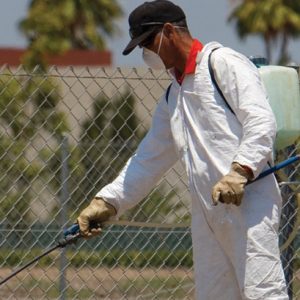 How to Choose the Right Pest Control Service?